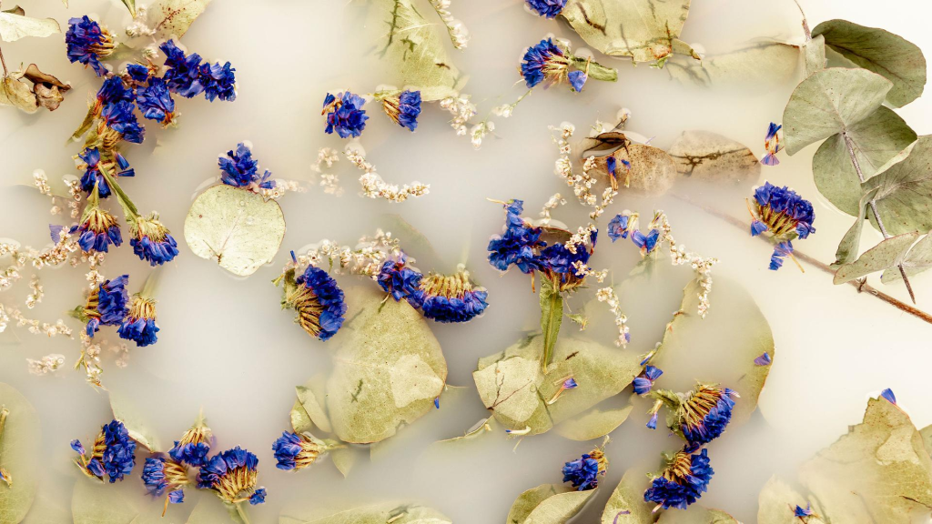 Blancheide: l’arte del profumo si trasforma in un rituale di bellezza per il&nbsp;corpo