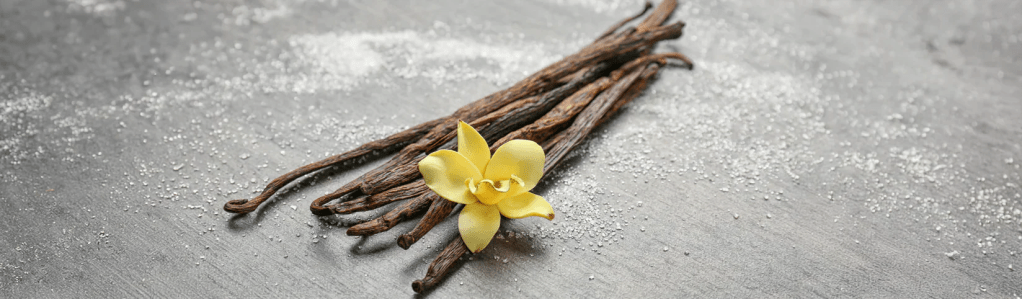 5 profumi di nicchia alla vaniglia: quando la dolcezza diventa&nbsp;arte